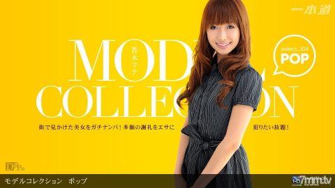 060311_107 模型系列选择… 104 Pop